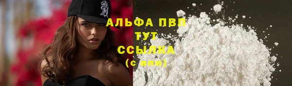 ешки Белокуриха