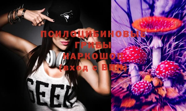 ешки Белокуриха