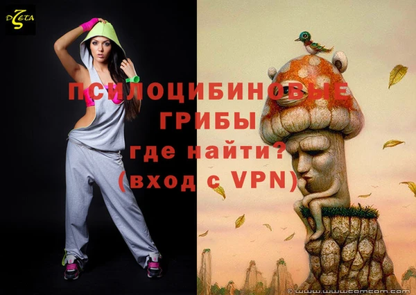 ешки Белокуриха