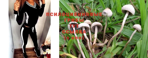таблы Белоозёрский