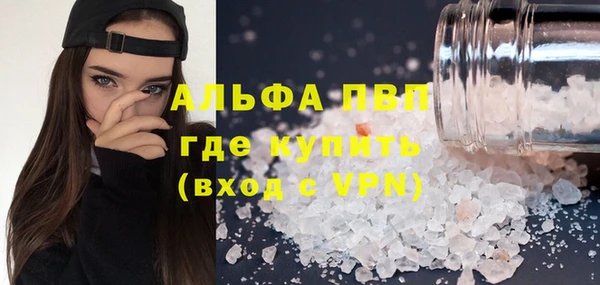 ешки Белокуриха