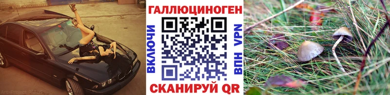 Галлюциногенные грибы Psilocybe Борзя